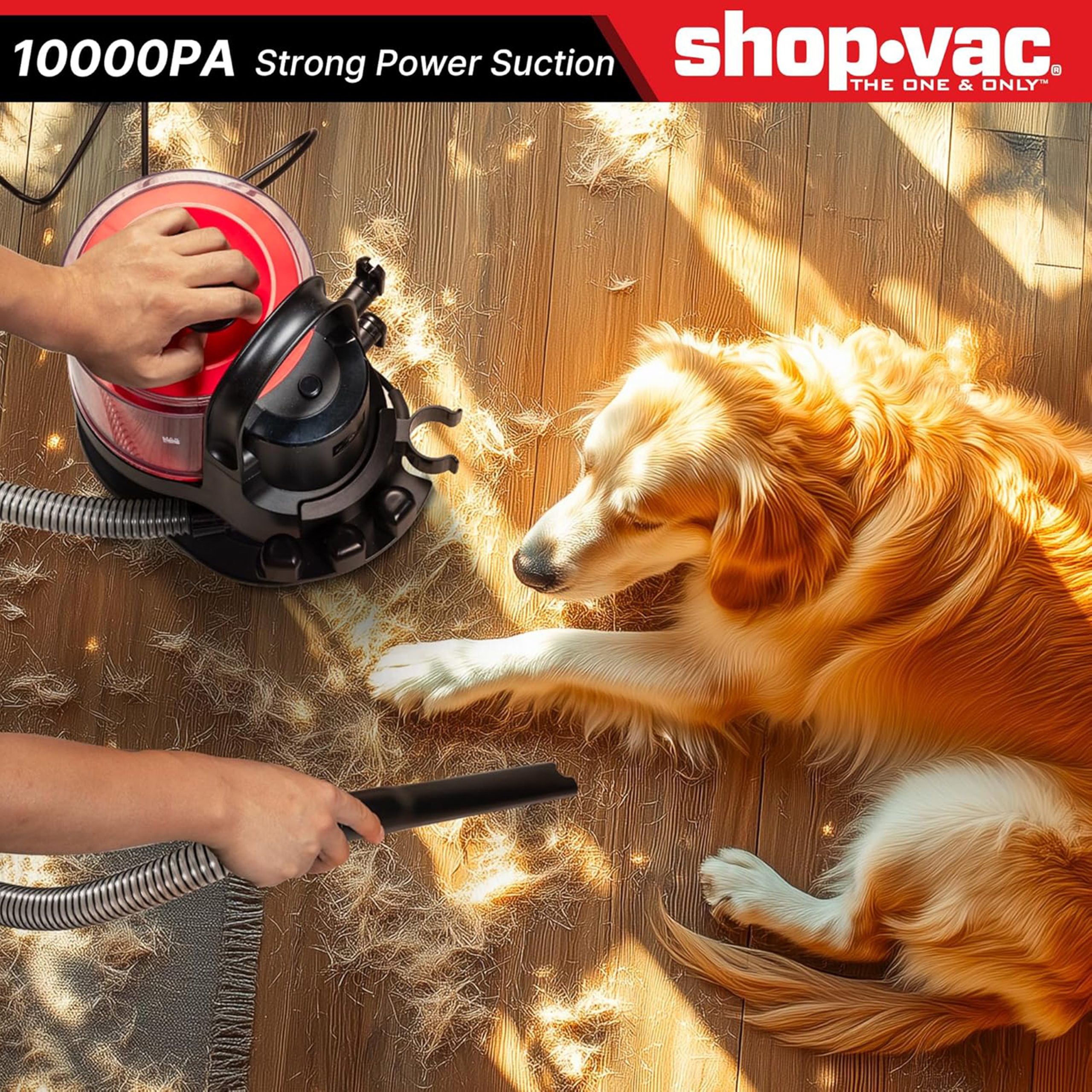 Shop-Vac® 4-in-1 Pet Grooming & Vacuum - Image 6