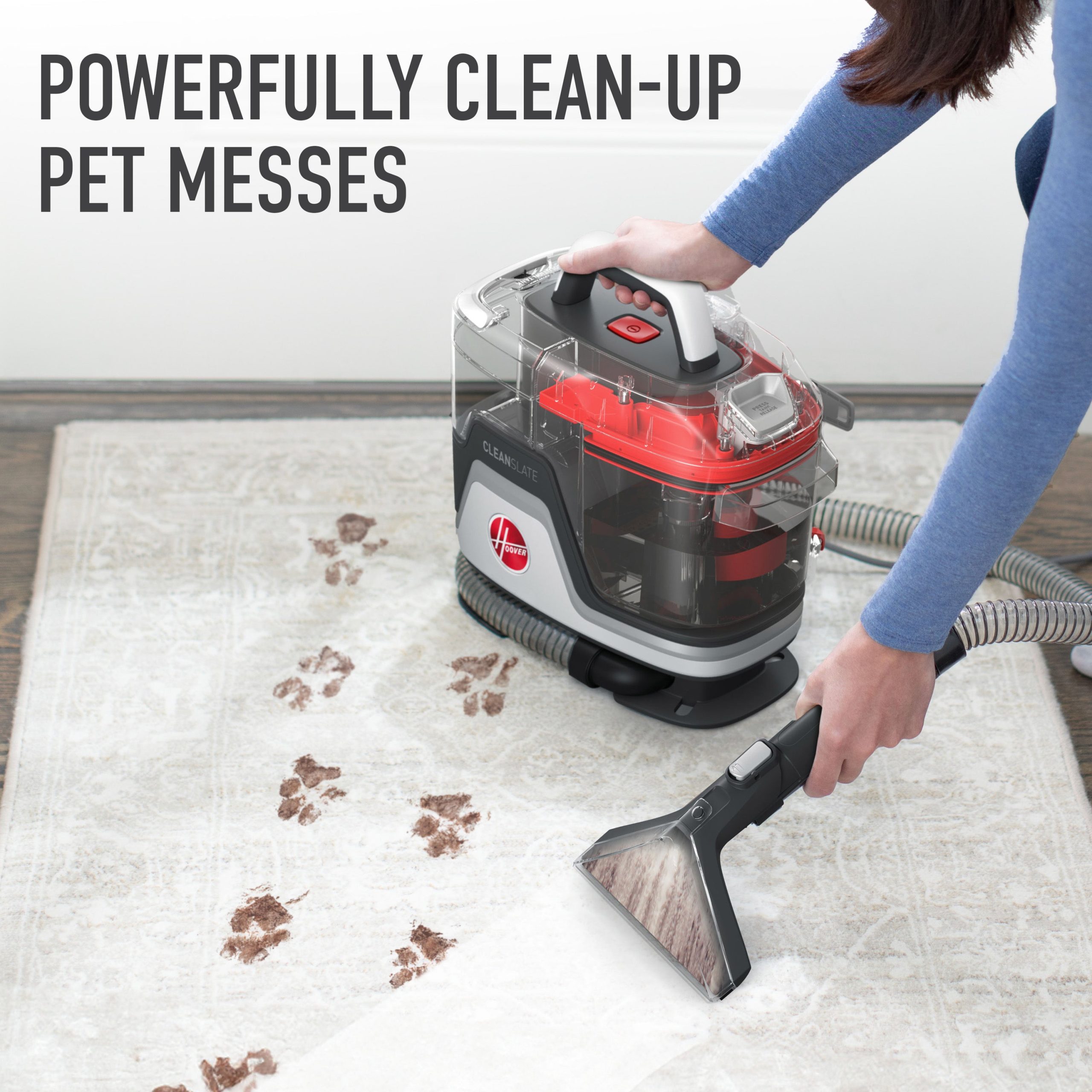 CleanSlate Pet Carpet & Upholstery Spot Cleaner + OXY Portable Solution Bundle - Image 9